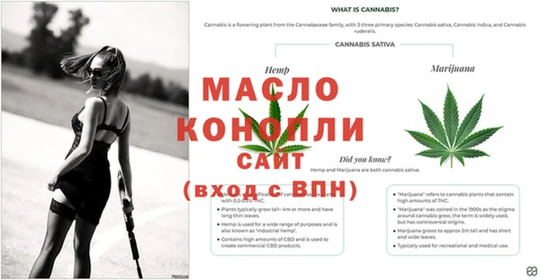 наркотики Вяземский