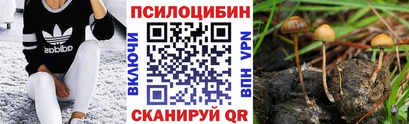 закладка  Избербаш  Псилоцибиновые грибы ЛСД 