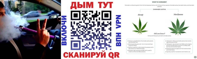 Шишки марихуана сатива  Избербаш 